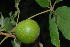 ( - RBN141.1)  @11 [ ] Unspecified (default): All Rights Reserved  Unspecified Unspecified