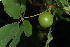  ( - RBN243)  @11 [ ] Unspecified (default): All Rights Reserved  Unspecified Unspecified