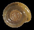  ( - UF382972A)  @13 [ ] CreativeCommons - Attribution Non-Commercial Share-Alike (2011) Unspecified Florida Museum of Natural History