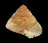  ( - UF425178A)  @13 [ ] CreativeCommons - Attribution Non-Commercial Share-Alike (2011) Unspecified Florida Museum of Natural History