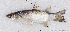  ( - M115_005)  @11 [ ] CreativeCommons - Attribution Non-Commercial Share-Alike (2018) Pierre Valade OCEA Consult', La Réunion