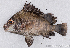  ( - M115_007)  @11 [ ] CreativeCommons - Attribution Non-Commercial Share-Alike (2018) Pierre Valade OCEA Consult', La Réunion