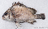  ( - M124_001)  @11 [ ] CreativeCommons - Attribution Non-Commercial Share-Alike (2018) Pierre Valade OCEA Consult', La Réunion
