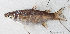  ( - M153_044)  @11 [ ] CreativeCommons - Attribution Non-Commercial Share-Alike (2018) Pierre Valade OCEA Consult', La Réunion
