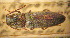  (Melanotus skopini - BGE_00900_B09)  @11 [ ] Copyright (c) (2025) Zinenko Oleksandr Museum of Nature of V.N. Karazin Kharkiv National University