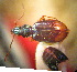  ( - BGE_00900_E03)  @11 [ ] Copyright (c) (2025) Zinenko Oleksandr Museum of Nature of V.N. Karazin Kharkiv National University