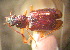  (Bembidion straussi - BGE_00900_H03)  @11 [ ] Copyright (c) (2025) Zinenko Oleksandr Museum of Nature of V.N. Karazin Kharkiv National University