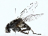  ( - BIOUG80128-A09)  @11 [ ] CreativeCommons - Attribution (2022) CBG Photography Group Centre for Biodiversity Genomics