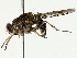 ( - BIOUG80128-H02)  @11 [ ] CreativeCommons - Attribution (2022) CBG Photography Group Centre for Biodiversity Genomics