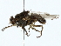  ( - BIOUG80129-F07)  @11 [ ] CreativeCommons - Attribution (2022) CBG Photography Group Centre for Biodiversity Genomics