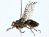  ( - BIOUG80129-F08)  @11 [ ] CreativeCommons - Attribution (2022) CBG Photography Group Centre for Biodiversity Genomics