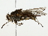  ( - BIOUG80129-H03)  @11 [ ] CreativeCommons - Attribution (2022) CBG Photography Group Centre for Biodiversity Genomics