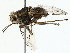  ( - BIOUG80130-B02)  @11 [ ] CreativeCommons - Attribution (2022) CBG Photography Group Centre for Biodiversity Genomics