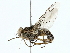  ( - BIOUG80130-B06)  @11 [ ] CreativeCommons - Attribution (2022) CBG Photography Group Centre for Biodiversity Genomics