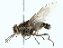  ( - BIOUG80130-B08)  @11 [ ] CreativeCommons - Attribution (2022) CBG Photography Group Centre for Biodiversity Genomics