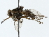  ( - BIOUG80130-B12)  @11 [ ] CreativeCommons - Attribution (2022) CBG Photography Group Centre for Biodiversity Genomics
