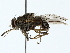  ( - BIOUG80130-C11)  @11 [ ] CreativeCommons - Attribution (2022) CBG Photography Group Centre for Biodiversity Genomics