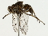  ( - BIOUG80130-F01)  @11 [ ] CreativeCommons - Attribution (2022) CBG Photography Group Centre for Biodiversity Genomics