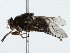  ( - BIOUG80130-G12)  @11 [ ] CreativeCommons - Attribution (2022) CBG Photography Group Centre for Biodiversity Genomics