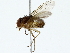  ( - BIOUG85473-E07)  @11 [ ] CreativeCommons - Attribution (2022) CBG Photography Group Centre for Biodiversity Genomics