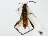  ( - BIOUG85473-H11)  @11 [ ] CreativeCommons - Attribution (2022) CBG Photography Group Centre for Biodiversity Genomics