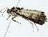  ( - BIOUG91292-A08)  @11 [ ] CreativeCommons - Attribution (2022) CBG Photography Group Centre for Biodiversity Genomics