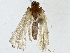  ( - BIOUG91292-F12)  @11 [ ] CreativeCommons - Attribution (2022) CBG Photography Group Centre for Biodiversity Genomics