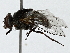  ( - BIOUG91293-A12)  @11 [ ] CreativeCommons - Attribution (2022) CBG Photography Group Centre for Biodiversity Genomics