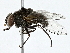  ( - BIOUG91293-C05)  @11 [ ] CreativeCommons - Attribution (2022) CBG Photography Group Centre for Biodiversity Genomics