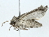  ( - BIOUG95350-B10)  @11 [ ] CreativeCommons - Attribution (2022) CBG Photography Group Centre for Biodiversity Genomics