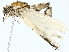  ( - BIOUG95350-F09)  @11 [ ] CreativeCommons - Attribution (2022) CBG Photography Group Centre for Biodiversity Genomics
