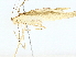  ( - BIOUG95351-C10)  @11 [ ] CreativeCommons - Attribution (2022) CBG Photography Group Centre for Biodiversity Genomics