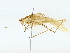  ( - BIOUG95351-C12)  @11 [ ] CreativeCommons - Attribution (2022) CBG Photography Group Centre for Biodiversity Genomics