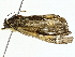  ( - BIOUG95352-B03)  @11 [ ] CreativeCommons - Attribution (2022) CBG Photography Group Centre for Biodiversity Genomics