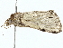  ( - BIOUG95352-B05)  @11 [ ] CreativeCommons - Attribution (2022) CBG Photography Group Centre for Biodiversity Genomics