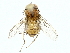  ( - BIOUG95353-C06)  @11 [ ] CreativeCommons - Attribution (2022) CBG Photography Group Centre for Biodiversity Genomics