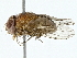  ( - BIOUG97761-D03)  @11 [ ] CreativeCommons - Attribution (2023) CBG Photography Group Centre for Biodiversity Genomics