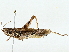  ( - BIOUG89980-H06)  @11 [ ] CreativeCommons - Attribution (2022) CBG Photography Group Centre for Biodiversity Genomics