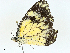  ( - BIOUG97770-B07)  @11 [ ] CreativeCommons - Attribution (2023) CBG Photography Group Centre for Biodiversity Genomics