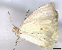  ( - BIOUG97770-E06)  @11 [ ] CreativeCommons - Attribution (2023) CBG Photography Group Centre for Biodiversity Genomics