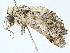  ( - BIOUG97770-F11)  @11 [ ] CreativeCommons - Attribution (2023) CBG Photography Group Centre for Biodiversity Genomics