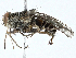  ( - BIOUG97771-C08)  @11 [ ] CreativeCommons - Attribution (2023) CBG Photography Group Centre for Biodiversity Genomics