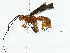  (Ivondrovia - BIOUG97749-B01)  @11 [ ] CreativeCommons - Attribution (2023) CBG Photography Group Centre for Biodiversity Genomics
