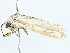  ( - BIOUG97751-B03)  @11 [ ] CreativeCommons - Attribution (2023) CBG Photography Group Centre for Biodiversity Genomics