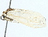  ( - BIOUG97751-B05)  @11 [ ] CreativeCommons - Attribution (2023) CBG Photography Group Centre for Biodiversity Genomics