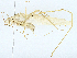  ( - BIOUG97751-G07)  @11 [ ] CreativeCommons - Attribution (2023) CBG Photography Group Centre for Biodiversity Genomics