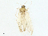  ( - BIOUG98710-D01)  @11 [ ] CreativeCommons - Attribution (2023) CBG Photography Group Centre for Biodiversity Genomics