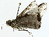  ( - BIOUG97762-B01)  @11 [ ] CreativeCommons - Attribution (2023) CBG Photography Group Centre for Biodiversity Genomics