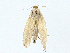  ( - BIOUG97762-B10)  @11 [ ] CreativeCommons - Attribution (2023) CBG Photography Group Centre for Biodiversity Genomics