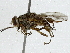  ( - BIOUG91299-E05)  @11 [ ] CreativeCommons - Attribution (2022) CBG Photography Group Centre for Biodiversity Genomics
